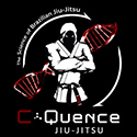 C-QUENCE MARTIAL ARTS