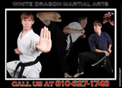 White Dragon Martial Arts