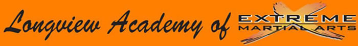 Longview Academy of Extreme Martial Arts