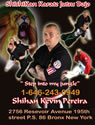 Shishikan Karate