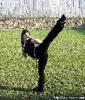 KICKPICS Photos