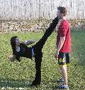 KICKPICS Photos