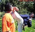 KICKPICS Photos
