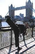 KICKPIC Photos