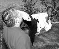 KICKPIC Photos