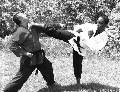 KICKPIC Photos