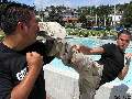KICKPIC Photos