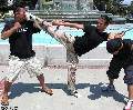 KICKPIC Photos